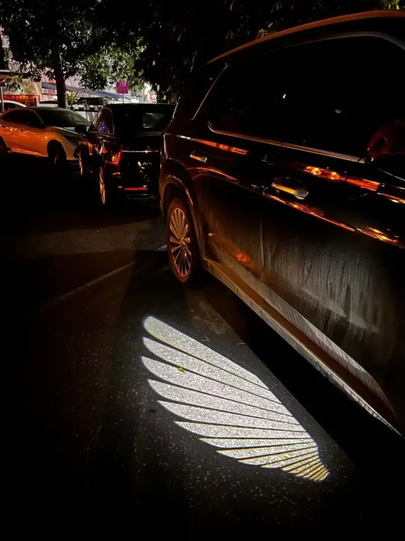 Angel Wing Welcome Light - Image 4