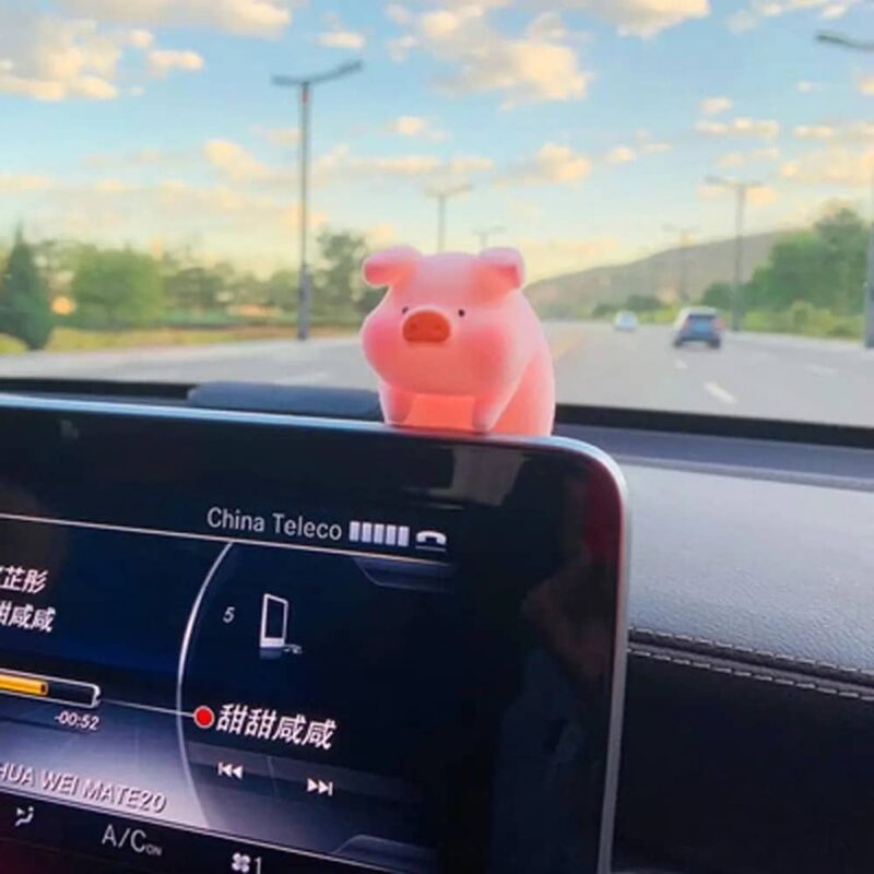 Dashboard Piggy Ornaments - Image 14