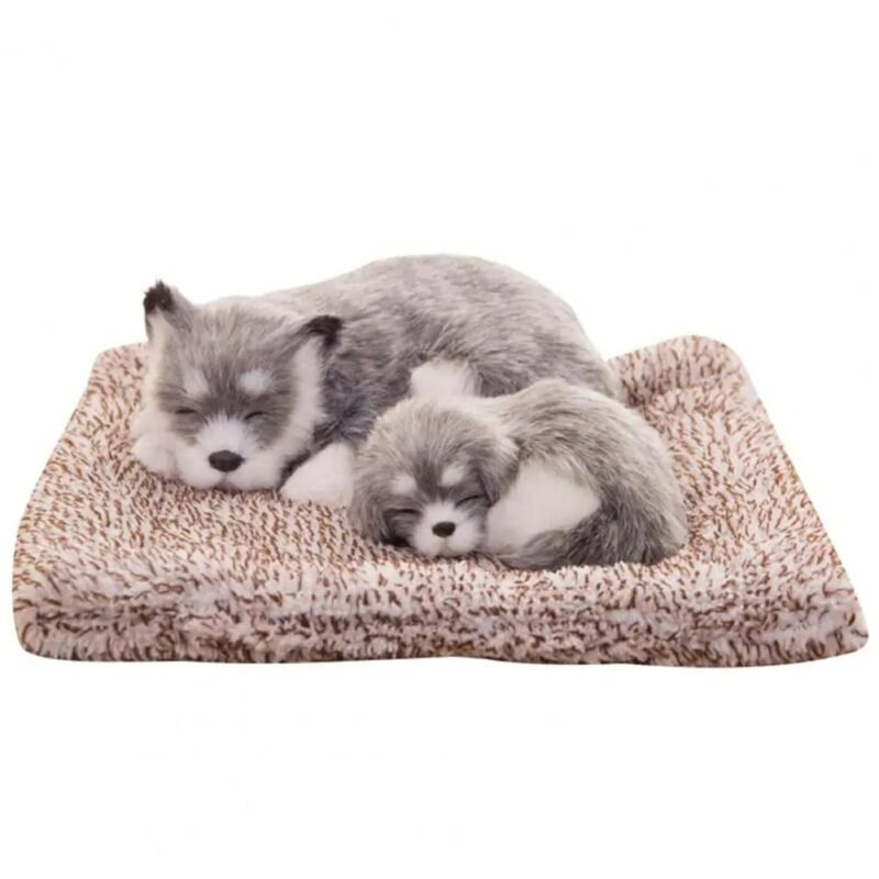 Auto Pet Ornaments - Image 10